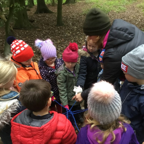 Forest school (7)
