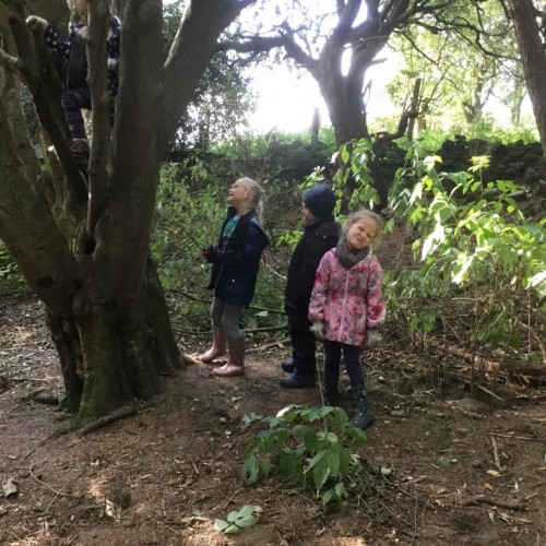 Forest school (5)