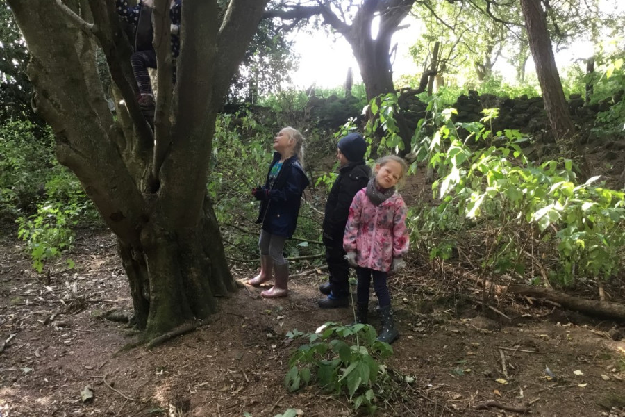 Forest school (5)